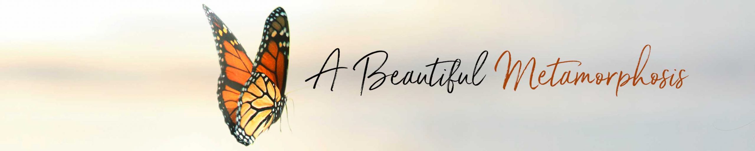 A Beautiful Metamorphosis