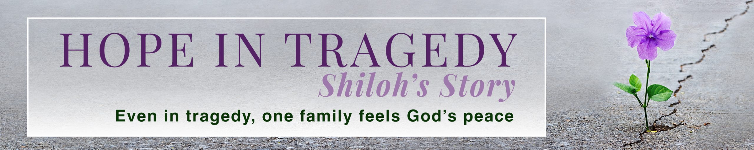 Hope in Tragedy