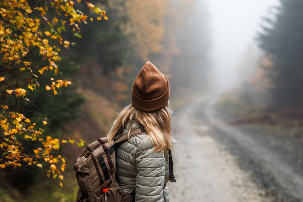 Slow Down to Rise Again